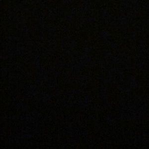 Meet your Posher, Shawn